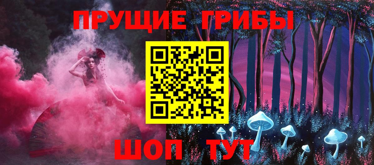 Асино  где найти наркотики  Вход с VPN  Псилоцибиновые грибы GOLDEN TEACHER 
