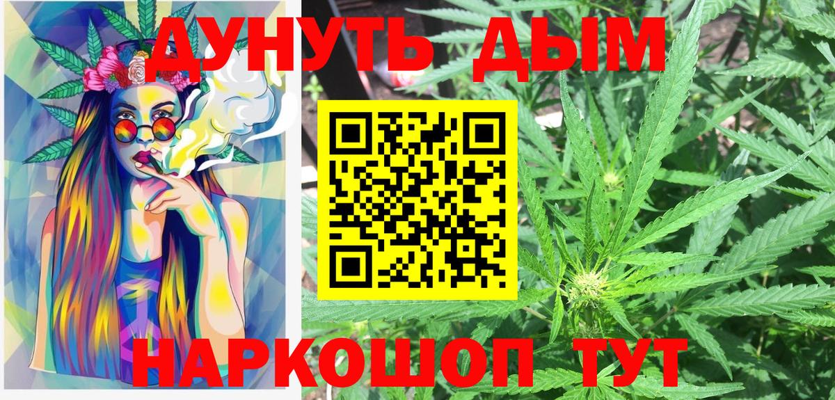 Бошки Шишки план Асино